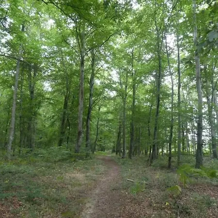L'authentique Tonneau à Cidre D'emma Hébergement de vacances *