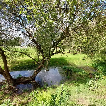 L'authentique Tonneau à Cidre D'emma Casa de Férias Litteau