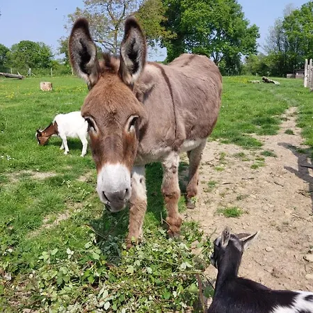 L'authentique Tonneau à Cidre D'emma Litteau