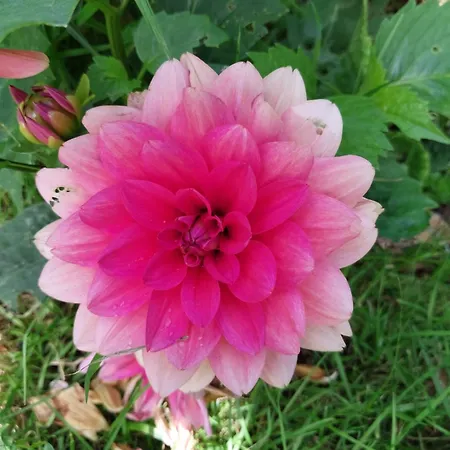 Casa de Férias L'authentique Tonneau à Cidre D'emma