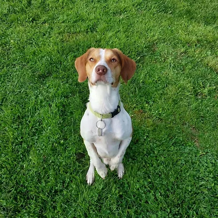 L'authentique Tonneau à Cidre D'emma Casa de Férias