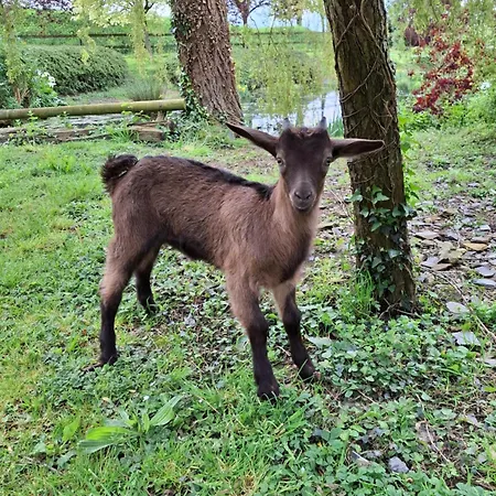 L'authentique Tonneau à Cidre D'emma Hébergement de vacances