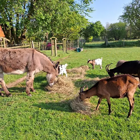 Casa vacanze L'authentique Tonneau à Cidre D'emma Litteau