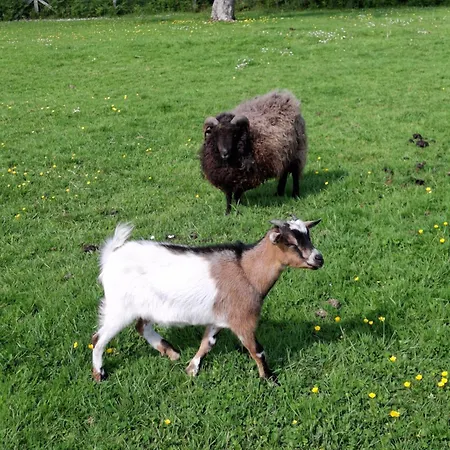 L'authentique Tonneau à Cidre D'emma Litteau
