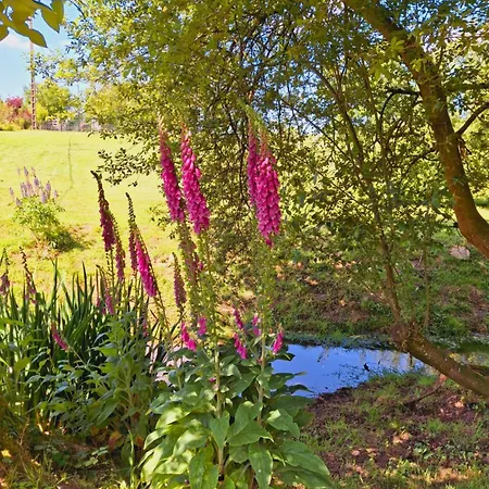 L'authentique Tonneau à Cidre D'emma