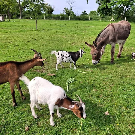 Hébergement de vacances L'authentique Tonneau à Cidre D'emma *