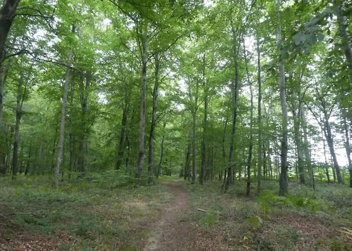 L'authentique Tonneau A Cidre D'emma Holiday home *