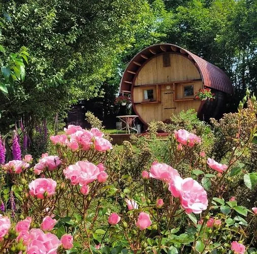 L'authentique Tonneau à Cidre D'emma *