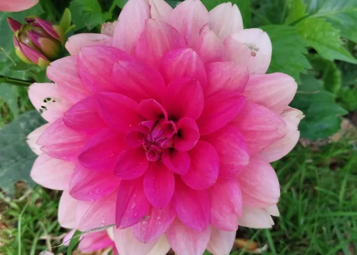 Holiday home L'authentique Tonneau A Cidre D'emma