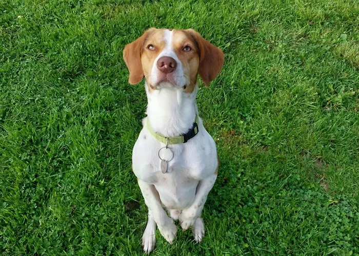 L'authentique Tonneau à Cidre D'emma Casa vacanze