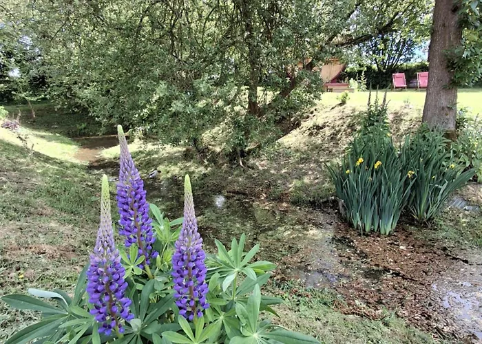 L'authentique Tonneau A Cidre D'emma Litteau