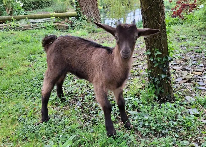 L'authentique Tonneau à Cidre D'emma Casa vacanze