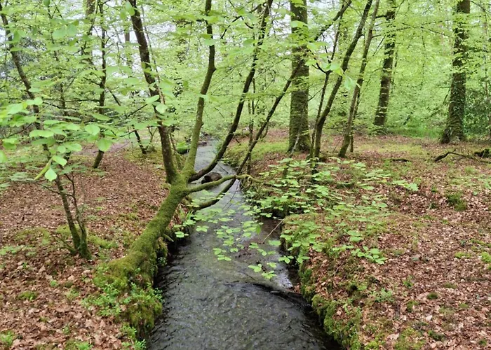 L'authentique Tonneau à Cidre D'emma Casa vacanze Litteau