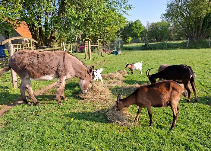 Holiday home L'authentique Tonneau A Cidre D'emma Litteau