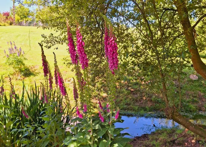 L'authentique Tonneau à Cidre D'emma
