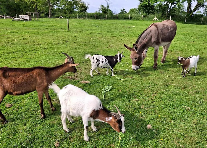 Holiday home L'authentique Tonneau A Cidre D'emma *
